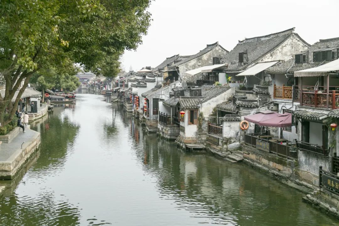 科佳年度旅行丨邂逅暖冬，解锁欢乐密码(图59)